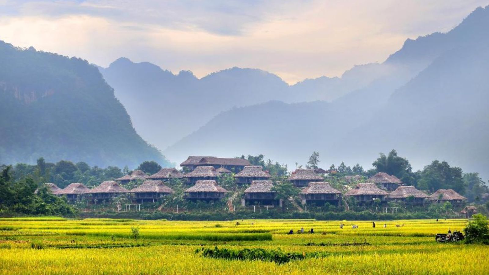 KHÁM PHÁ THUNG LŨNG MAI CHÂU 2 NGÀY 1 ĐÊM