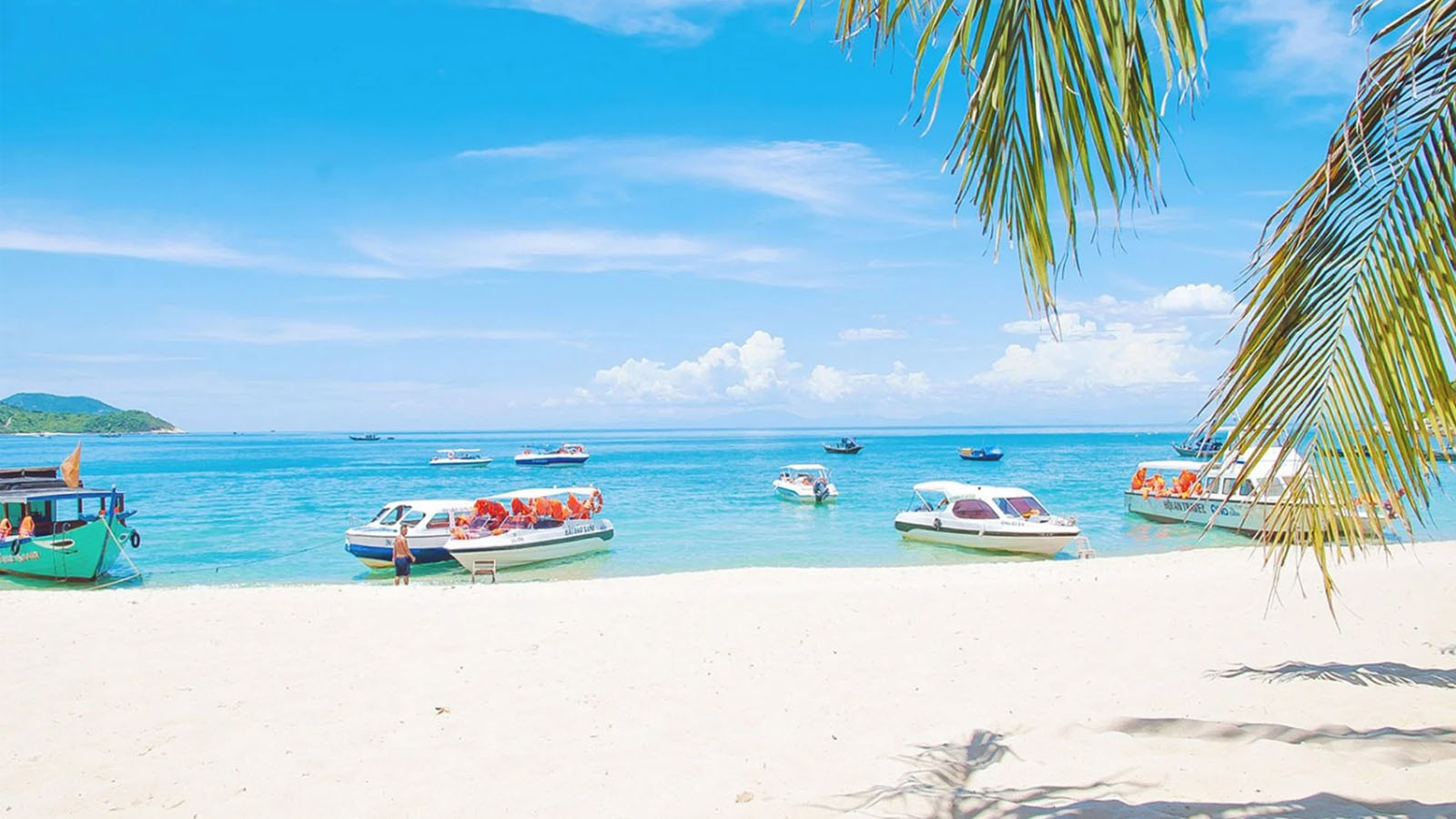 Đà Nẵng - Cù Lao Chàm - 1 ngày